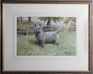 A Scottish Terrier In A Field by John Valentine
