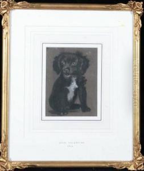 A Portrait Of A Black Puppy - view 1