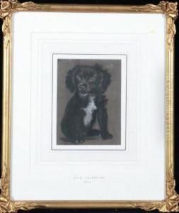 A Portrait Of A Black Puppy by John Valentine