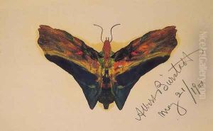 Butterfly (second Version)
