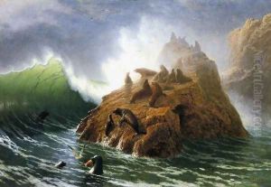 Seal Rock 1872