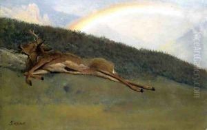 Rainbow Over A Fallen Stag