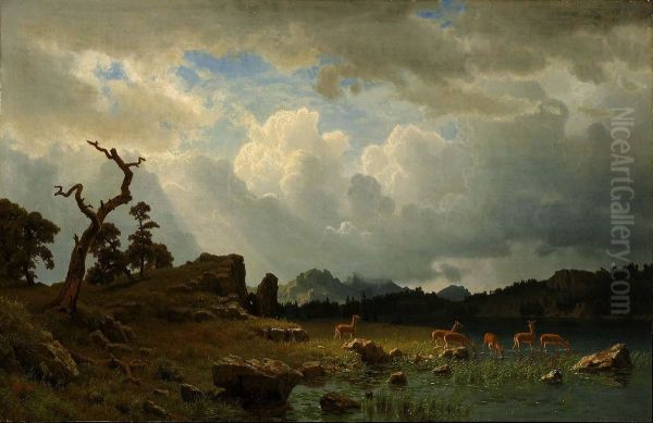Thunderstorm In The Rocky Mountains - view 1