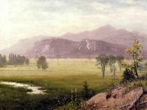 Conway Meadows New Hampshire