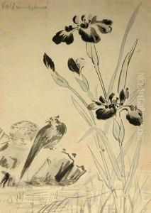 Flores Y Aves Flores Y Aves