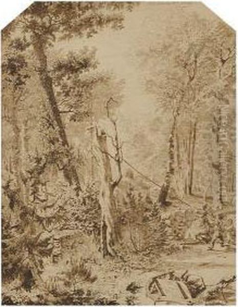 Foret De Fontainebleau - view 1