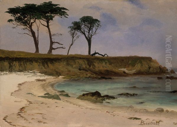 Sea Cove - view 1