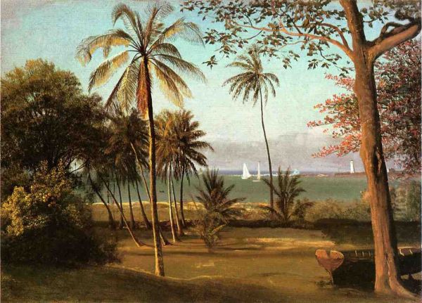 Florida Scene - view 1