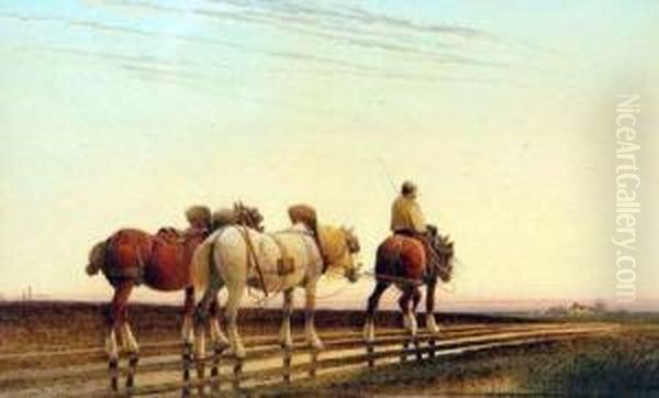 Homeward Bound - view 1