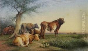 Cattle In A Meadow Cattle In A Meadow