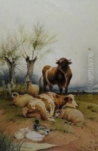 Cattle, Sheep, And Ducks On A Bank by Frederick E. Valter