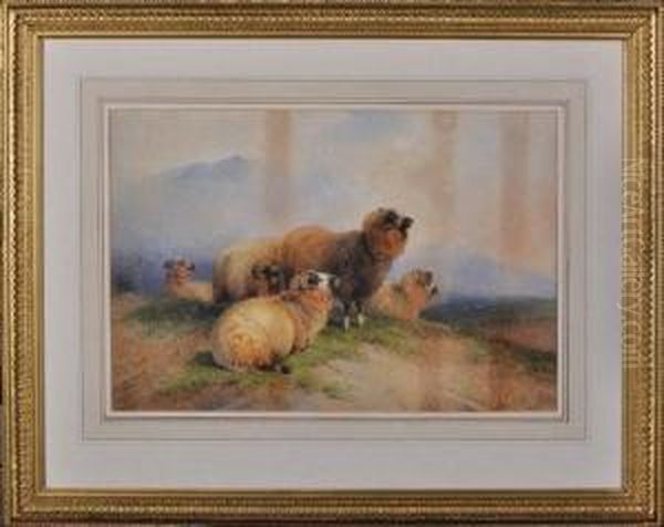 Sheep On A Hillside - view 1
