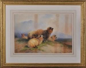 Sheep On A Hillside by Frederick E. Valter
