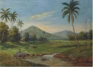 Water Buffaloes By A River, Java