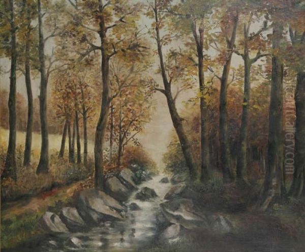 Beek In Het Bos - view 1