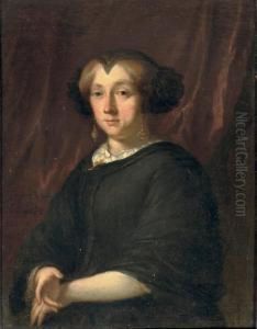 Portrait Of A Lady