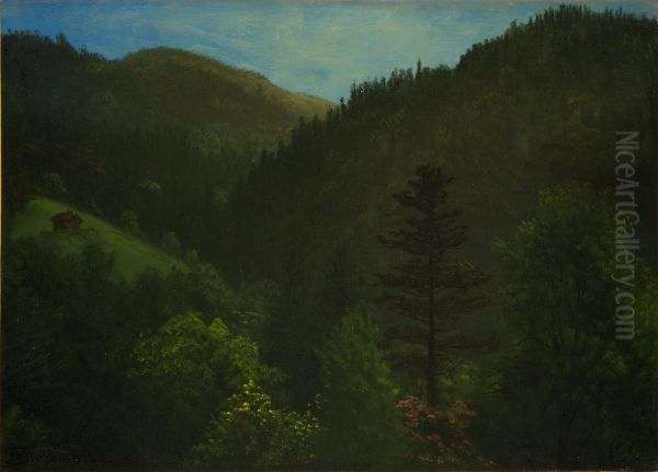 Wooded Landscape - view 1