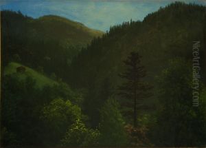 Wooded Landscape