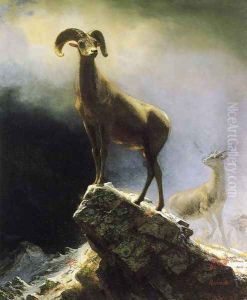 Rocky Mountain Sheep by Albert Bierstadt