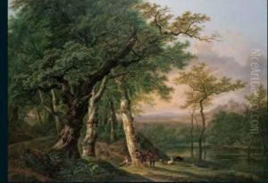 Giochi Nel Bosco Giochi Nel Bosco