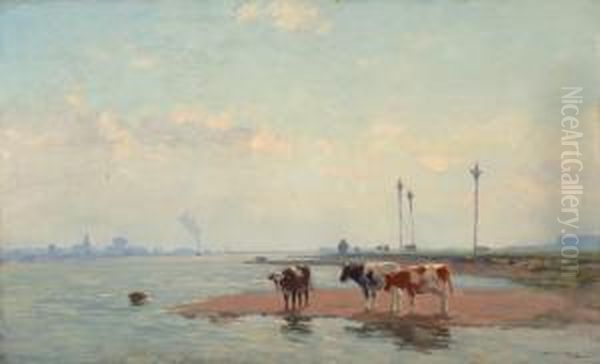 Cows On The Water'sedge - view 1