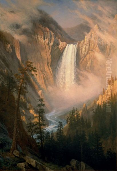 Yellowstone Falls - view 1