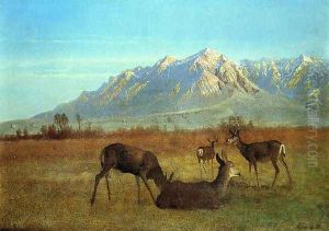 Deer in a Mountain Home