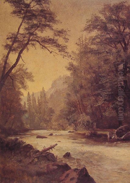 Lower Yosemite Valley - view 1