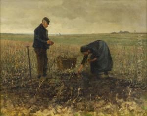 Kartoffelernte. by Gerrit Willem Van Blaaderen