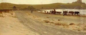 Seaweed Harvesting