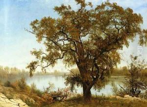 View From Sacramento by Albert Bierstadt
