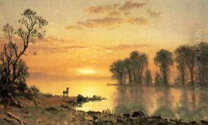 Sunset, Deer, and River