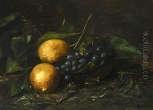 Still Life Withfruits - view 1