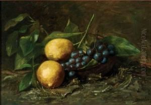 Stilleven Met Druiven En Citroenen by Helena Maria Van Borselen