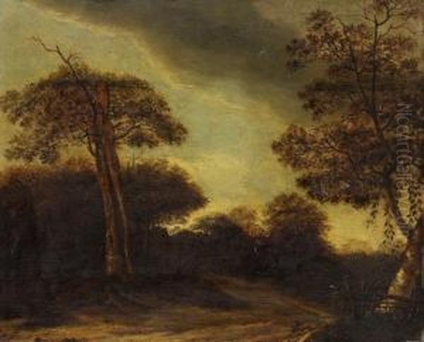 Nachfolge - Waldlandschaft - view 1