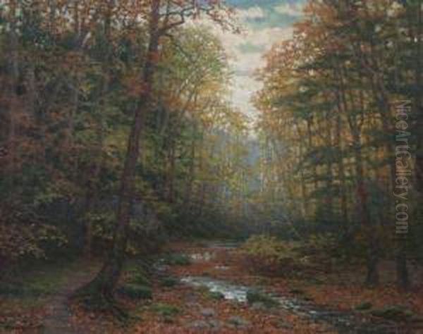 Stream Through The Woods - view 1