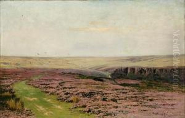 Flowering Prairie Landscape, Summer - view 1