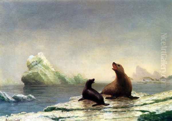 Seals - view 1
