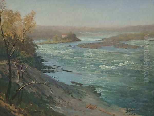 Upper Rapids, Niagara Falls - view 1