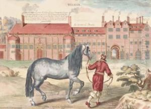 The Duke Of Newcastle's Riding School: Three Plates