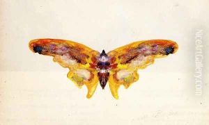 Butterfly I