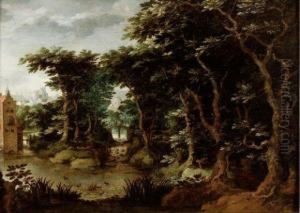 Paysage De Foret
