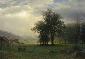 The Open Glen
