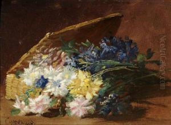 Fleurs Des Champs - view 1