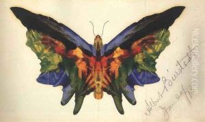 Butterfly 1893