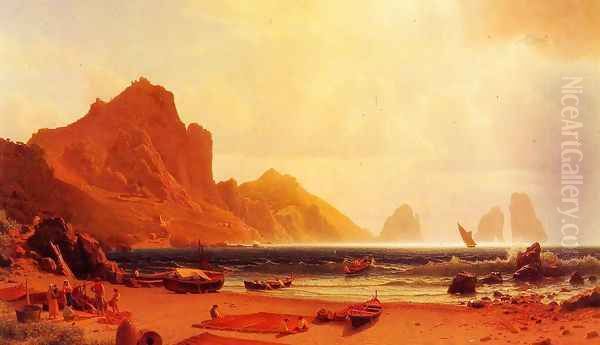 The Marina Piccdola, Capri - view 1