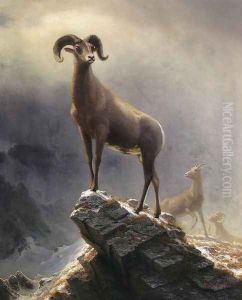 Rocky Mountain Sheep 1 by Albert Bierstadt