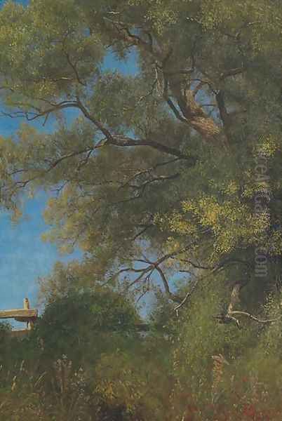 Salem Landscape - view 1