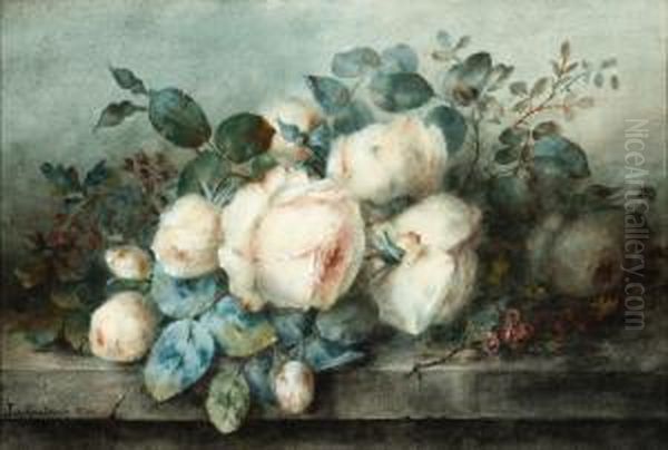 Roses - view 1