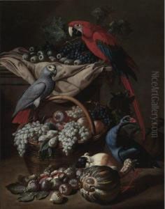 Still Life With Two Parrots, A Guinea Pig, A Basket Of Fruit Andfowl by Jacob van der (Giacomo da Castello) Kerckhoven